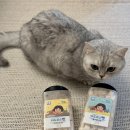 고양이 트릿 마도로스펫 치킨, 북어트릿 동결건조 간식 추천