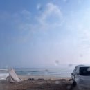 세븐일레븐 강릉한라점 | [강릉] 9남매 두부집, 갤러리밥스 초당 옥수수커피, 강릉 중앙시장 먹거리, 세인트존스 버블타임