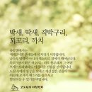 박새, 딱새, 직박구리, 꾀꼬리, 까치 이미지