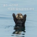 림가기