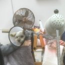 한양한방동물병원 이미지