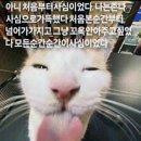꿈에서도 안나올 것 같은 장면이에요