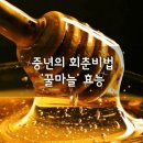 중년의 회춘비법 '꿀마늘' 효능 이미지