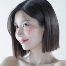 프로디헤어