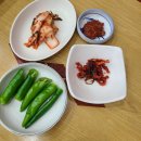황태물찜메밀막국수 이미지