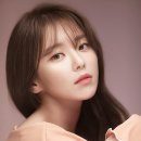 안다비 카카오 검색결과