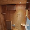 펄라이트존(ZONE) 이미지