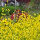 대파니힐링팜 이미지