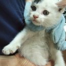 중곡동물병원 이미지