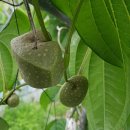 중부농장 이미지