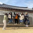 뜨라네펜션1 | 경주 독채 펜션 추천 / 산해독채민박 / 황리단길 짐보관함 / 경주 뜨라네 카페