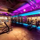 바디채널 이미지