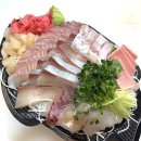노량진 맛집 탐방기 #16 | 수산시장 횟집 추천, 청결·가성비 끝판왕 서울수산(+할인받는 법)