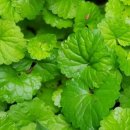 경희솔한의원 이미지