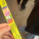 지에스25 화곡열매점 | 서일페 V.20 후기 | 비슷한 취향을 가진 이들은 어떤 부스에 머물렀나