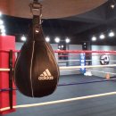 강릉복싱체육관 이미지