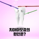 노원플러스치과의원 이미지