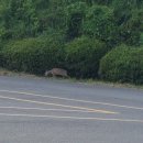 버스정류소_서귀포농협 이미지