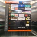 뷰티다올데이 이미지