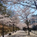 경기도 수원시 권선구 권중로 171 이미지