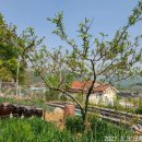 초일농장 이미지