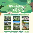 초록빛 이미지
