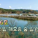 [한국의 역사문화명승] 안동 백운정과 개호송숲 이미지