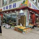 미금본닥터정형외과의원 | [미금역 병원 투어] 미금본닥터정형외과의원 손목 결절종 / 심덕택피부과 발가락에 사마귀!