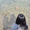 더하르헤어 - 안산시 단원구 화정로1길 23 | 탈모케어샴푸 추천, 글랜젠데스 하르 맥주샴푸 일주일 사용해 본 후기