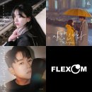 플렉스 뉴스1