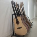 사파동365 이미지