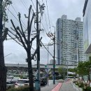 국제빌딩(국제식품/초원농원) 이미지