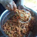 월드애견 이미지