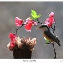 아름다운연출 이미지
