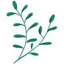 건강한 라인댄스 이미지