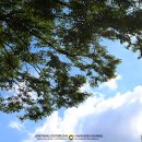 침산공원 이미지