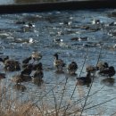 문산읍-2 이미지