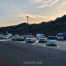 남성주참외(양평) 이미지