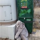 부산슈퍼 이미지