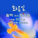 3월 7일 (화) 출석부 : 봄이 오나 봄 이미지