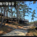 솔향기캠핑장 | 충남 태안군 캠핑장 추천 솔향기캠핑장 솔향기캠핑장 깨끗함과 뷰가 돋보이는 곳