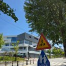 상아팥죽 이미지