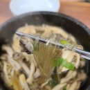 물만난 버섯 이미지