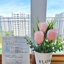아동，가족상담센터참사랑 | 수원 심리상담센터 내안에 빛 심리상담센터에서 6살 아동 심리상담 양육 코칭 솔직후기