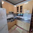 하늘애견 이미지