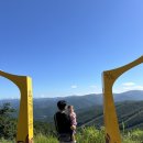 아래농장 | 하이원리조트 구름아래동물농장 먹이체험 후기