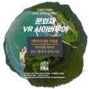 완도 맹선리 상록수림 이미지