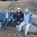 금당아트 밸리 이미지