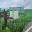 지산(팽목)