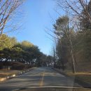 벙커구장 | 경기 용인 명문 구장 지산 cc 후기